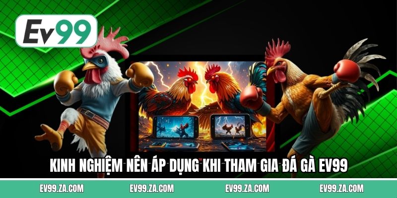 Kinh nghiệm nên áp dụng khi tham gia đá gà EV99 