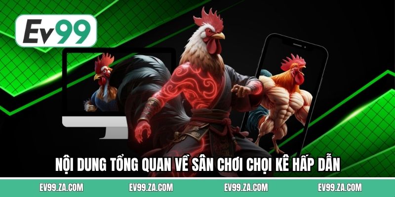 Nội dung tổng quan về sân chơi chọi kê hấp dẫn 