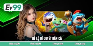 Hé Lộ Bí Quyết Bắn Cá