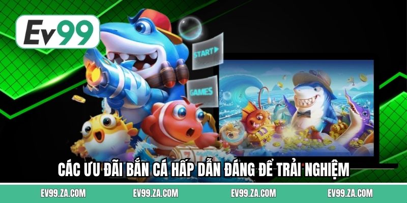 Các ưu đãi bắn cá hấp dẫn đáng để trải nghiệm Các ưu đãi bắn cá hấp dẫn đáng để trải nghiệm