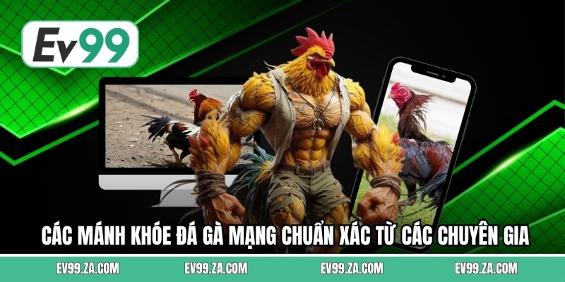 Các mánh khóe đá gà mạng chuẩn xác từ các chuyên gia