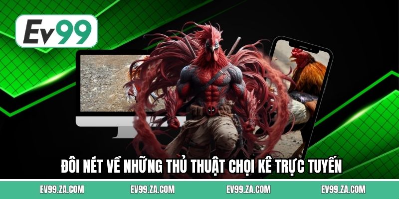 Đôi nét về những thủ thuật chọi kê trực tuyến