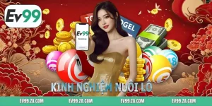 Kinh Nghiệm Nuôi Lô Xổ Số Dài Hạn Trên Nền Tảng EV99